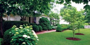 Landscaping Services Near Me