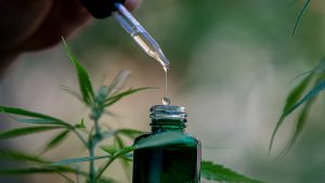 best full spectrum cbd oil